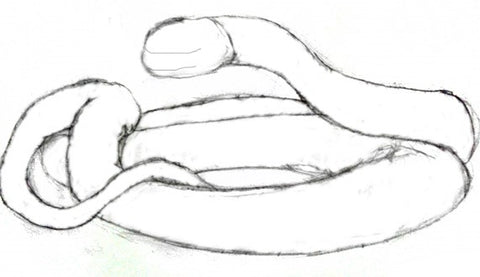 Hand drawing snake set. Wildlife snakes tattoo vector design isolated. Wild  snake poisonous sketch, dangerous animal reptile illustration Stock Vector  Image & Art - Alamy